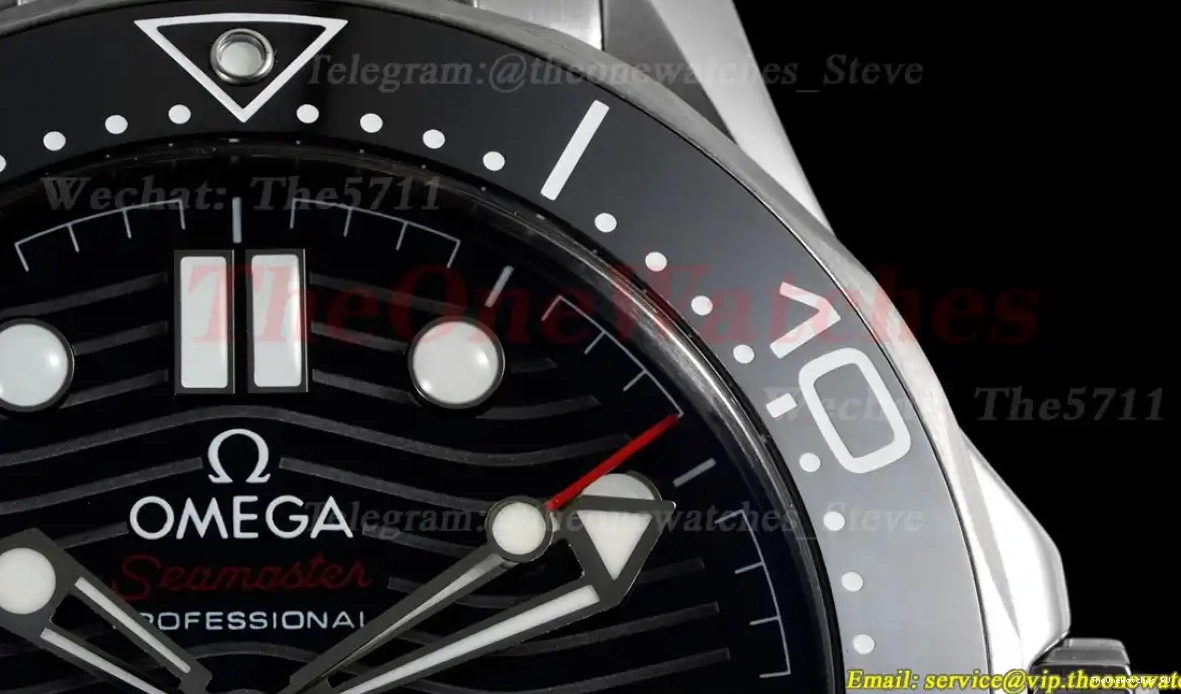 Asia SS ORF 300m Seamaster 2018 Black SS 8800 0429